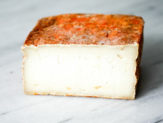 Sola di pecora (20082)