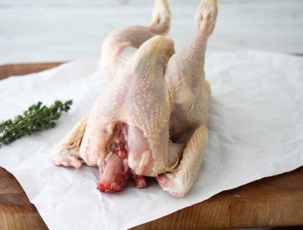 Hollands leghaantje panklaar 1 Hollands leghaantje panklaar