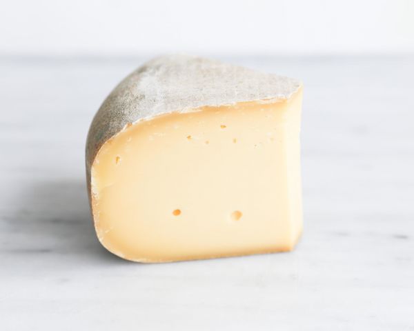 Zilte duinen 1 Zilte duinen